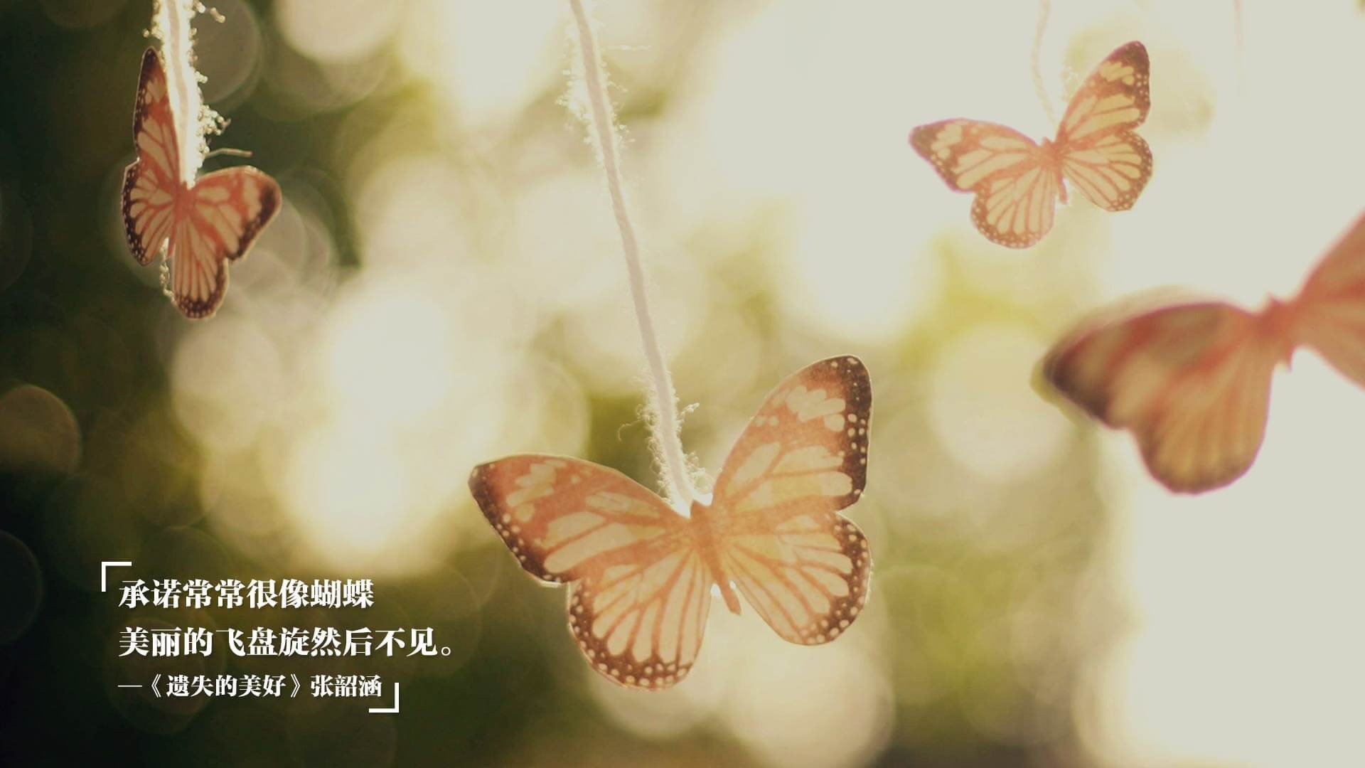 开云中国-_体育场馆智能化升级：数字化打造未来竞技新体验_，体育场馆智能化系统包含哪些
