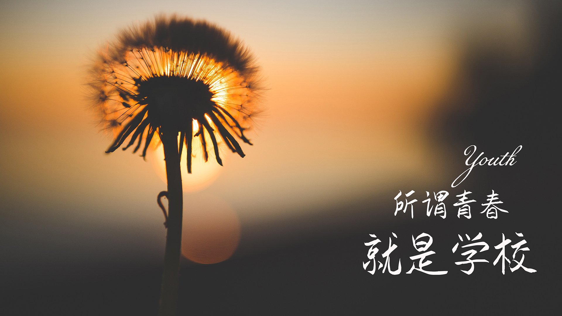 Kaiyun官方登录入口-战术揭秘：北京队利用快速反击，成功击败对手！，北京队被绝杀